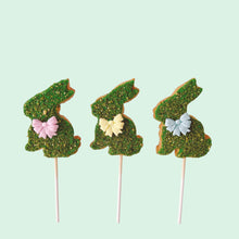 Load image into Gallery viewer, Moss Bunny Cookie Pops
